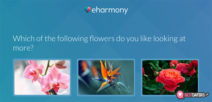 Revisões da eHarmony: questionário da eHarmony.